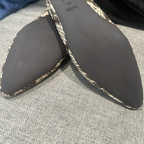 Coach beautiful pointy flat - Picture 5 of 6